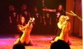 Thumbs/tn_IMG_5196_w.jpg